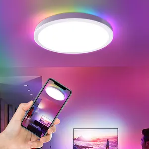 Ultra dünne 2cm RGB runde Unterputz-Leuchten Innen leuchte 28w Smart Wifi Tuya Fernbedienung LED-Decken leuchte
