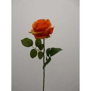 ROSA MARIA SPRAY X1 68CM OR - Product Image 1
