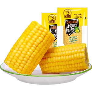 Sweet Yellow Corn Maize Commonly Cultivated and Canned Preserved with Brine Process