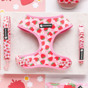 طقم طوق وحزام للكلاب قابل للتعديل مع طباعة مخصصة وشعار حسب الطلب - Product Image 1