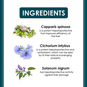 ยาแคปซูลสารสกัดจากสมุนไพร Liv.52 DS Himalaya ขนาด60แคปซูลต่อขวด - Product Image 4