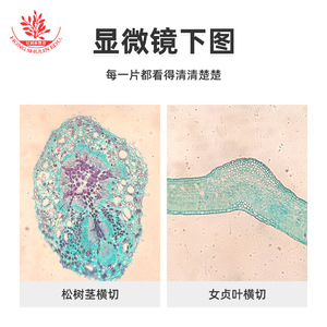 5 - Product Image 3