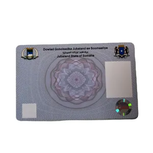 Kunden spezifische RFID-ID-Karte EM4100 / Tk4100/ AT5577 Chip Access Control ID-Karte 125kHz PVC Smart Blank Card