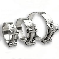 Factory Supply Euro Type Heavy-Duty Galvanized Iron/Stainless Steel Hose Clamp High Quality Engine Clamp Hydraulic Pipe Clamps