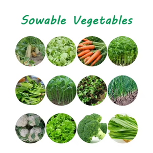 Seminatrice manuale per macchine agricole, - Product Image 4