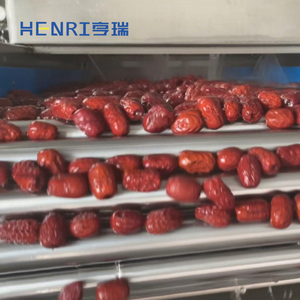 Equipo de Lavado de Frutas y Verduras por Aspersión, Línea de Limpieza, Máquina Lavadora de Verduras - Product Image 6