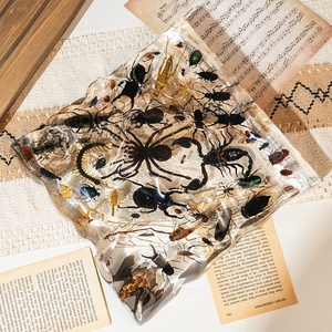 Kích thước lớn 50 bức tượng nhựa côn trùng khác nhau Bộ sưu tập nghệ thuật tuyệt vời của 100 lỗi nhúng khối Nhựa trong suốt cao - Product Image 3