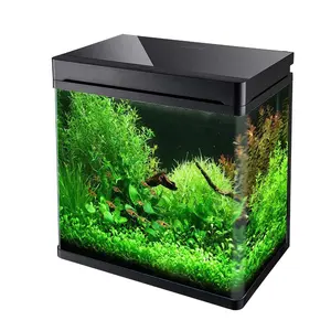 Aquarium décoratif de bureau, grand poisson, pour poissons, transparent