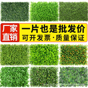 Muro de Plantas Artificiales Greenway, 1 Metro Cuadrado, Simulación de Vegetación para Decoración de Interiores, Estilo Rústico - Product Image 5