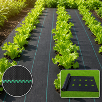 Toile tissée en PP découpée sur mesure pour la lutte contre les mauvaises herbes dans l'agriculture commerciale, tapis de protection contre les adventices