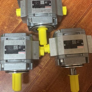 Bomba de Engranajes Rexroth PGF2-2X/011RA01VP de 1 Etapa y 250 Bares, Bomba Hidráulica con Cuerpo de Hierro Fundido Accionada por Motor - Product Image 1