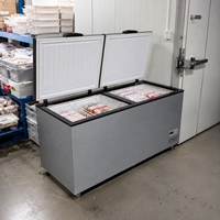 Congélateur coffre horizontal commercial à refroidissement direct, dégivrage manuel, réfrigérant R290, contrôle numérique, 110V-130V