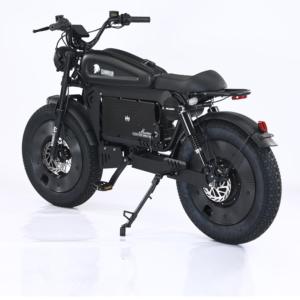 Bicicleta Eléctrica SS10 de 20 Pulgadas con Motor Trasero de 3000W, Batería de Litio de 30AH/60AH, 140KM de Autonomía, Color Negro - Product Image 6