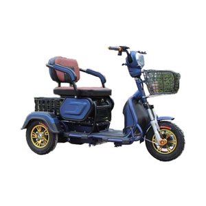 Triciclo de Carga Eléctrico de 48V con Certificación CE para Adultos, Uso de Pasajeros, Diseño Moderno - Product Image 3