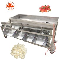 Machine de tri du poids des fruits, machine de tri du poids des bleuets et des dattes