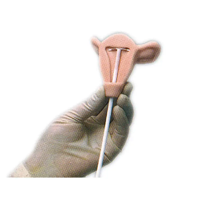 Modèle avancé de <span class=keywords><strong>formation</strong></span> à la contraception intra-utérine pour l'enseignement de la planification de la santé <span class=keywords><strong>maternelle</strong></span> et infantile en sciences médicales - Product Image 5