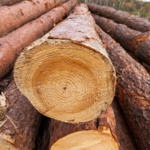 Export grade Azobe planed square lumber 4 meters long straight grain beautiful premium furniture first choice - Product Image 3
