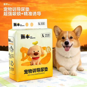 Pet <b>Pee</b> <b>Pads</b> Thickened Deodorizing Disposable Absorbent For Dogs Cats Custom Size 20 Pieces Per Pack - Product Image 1