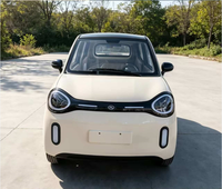 Véhicule électrique compact pour adultes, 5 portes, 4 places, mini-voiture électrique familiale, transport électrique de passagers