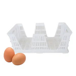 Caja plegable de plástico para transporte de huevos de ganso, bandeja para transporte de huevos de pollo, con bandeja para huevos