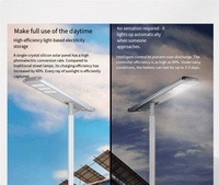 Lampadaire Solaire LED Intégré à Détection Humaine IP65, Construction en Aluminium, Panneau en Silicium Monocristallin, Télécommande, pour Jardin
