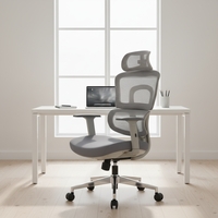 Chaise de bureau ergonomique moderne pivotante en maille avec support lombaire réglable, chaise de luxe en plastique, personnalisation de mobilier