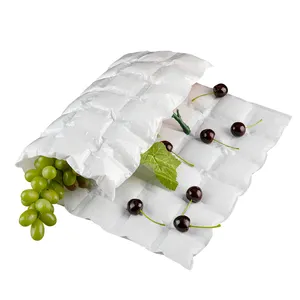 Viande de poisson Fruits de mer Transport aérien Tremper l'eau Cool Cold Pack Gel de glace en gros