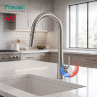 Robinet mélangeur chaud/froid Frasico, monocommande, à poser sur plan, avec douchette extractible, en acier inoxydable pour évier de cuisine