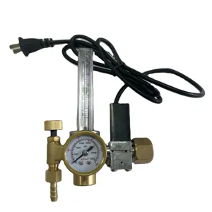 Factory directly sale electromagnetic valve heating brass 191 argon CO2 regulator 36V/220V with flowmeter