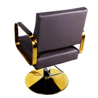 Fauteuil de Salon de Coiffure Haut de Gamme, Réglable en Hauteur, Pivotant, avec Accoudoirs, en Métal, Plusieurs Couleurs, Idéal pour Permanentes et Teintures (Modèle Tendance)
