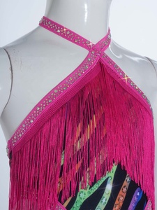 Vestido de Baile Latino para Niñas, con Flecos, Halter, Leotardo con Pedrería, Spandex, para Salsa, Tango, Baile de Salón, Ajustado, para Competencia, Personalizado - Product Image 3