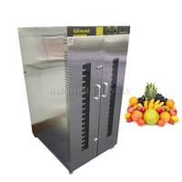 Séchoir professionnel pour fruits, séchoir à feuilles, machine électrique de séchage des fruits, four de séchage des fruits