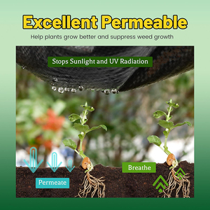 Di alta qualità PP tessuto tessuto paesaggio Anti-erba erbaccia controllo plastica copertura del suolo tappetino per serra PE materiale - Product Image 5