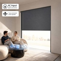 Ilvia - Sistema de Cortinas Motorizadas Personalizadas para Ventanas de Patio, Cortina Enrollable Exterior con Cierre Zip, Transparente