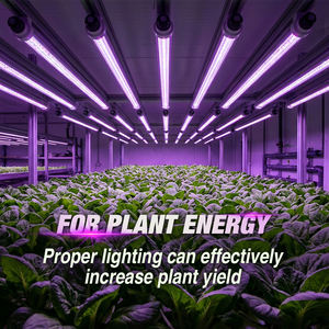 Lámpara LED Hidropónica Impermeable IP65 de 22W, Luz Roja <span class=keywords><strong>UV</strong></span> Comercial de Aluminio T8 para Invernadero, Lámpara de Tubo para Plantas - Product Image 1