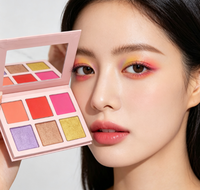 Palette vide OEM pour fard à joues et bronzer, 6 couleurs, taille standard, poudre minérale, résistante à l'eau, protection solaire, marque privée, usage visage