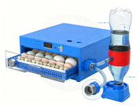 Nouvel incubateur électrique entièrement automatique 12V DC 110V/220V AC, taux d'éclosion de 98%, double alimentation, 36 œufs, en PP, pour canards, oies et poulets