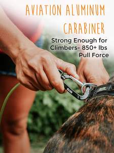 สายจูงสุนัขทรงพลังป้องกันการกัดสำหรับสัตว์เลี้ยงสายรัดโลหะป้องกันการเคี้ยวเหมาะสำหรับสุนัขขนาดใหญ่และการงอกของฟันของลูกสุนัขสายถักด้วย - Product Image 4