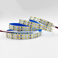 Bande LED flexible haute luminosité 12V 24V, double rangée, 480 LED, 240 LED, blanche, haute qualité, découpable