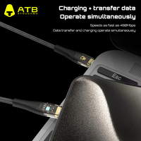 Câble de données de téléphone portable à charge rapide plaqué or transparent (1.2m)