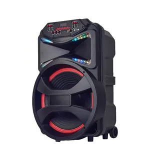 15 Inch Karaoke Speaker Professionele Versie Met Microfoon Luidsprekers Geluid Professionele Muziek