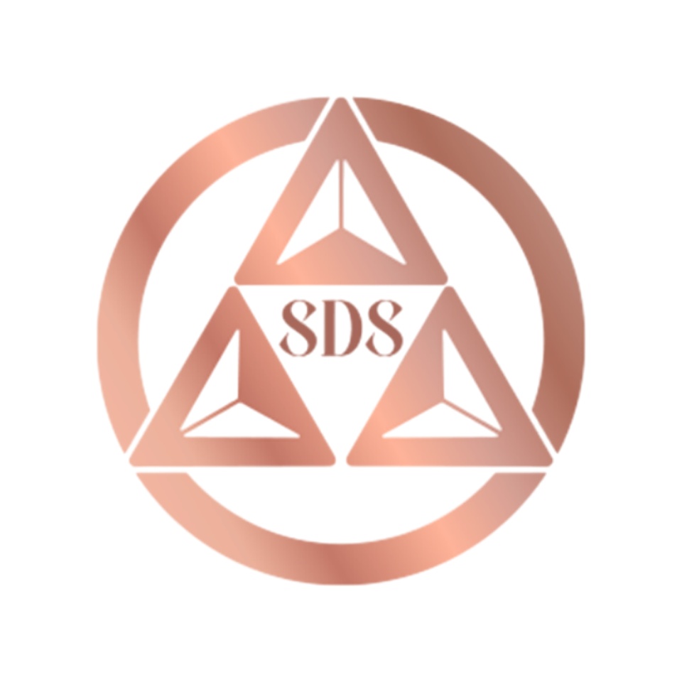 Shenzhen SDS Technology Co., Ltd. logo