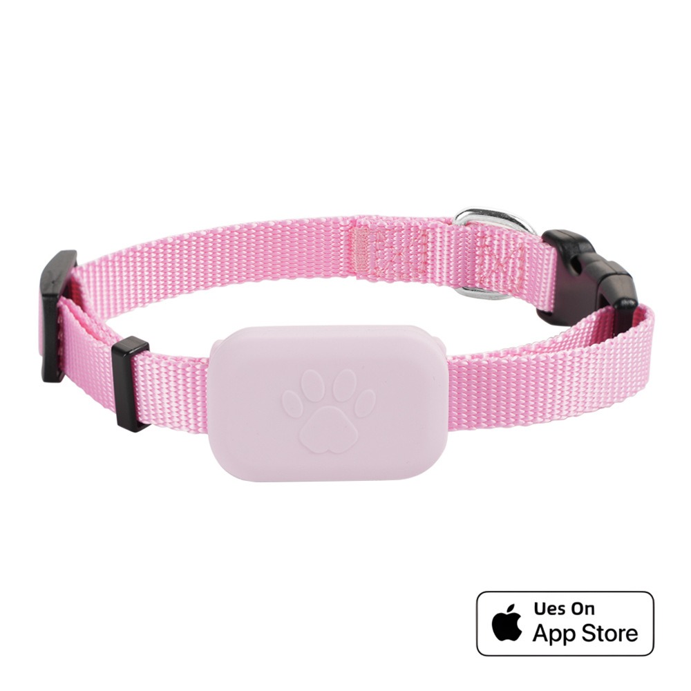 F5 Collar 1Pack -Pink (iOS only)