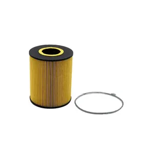 LKW-Ölfilter HU1381x E13HD47 Dieselöl filter ELH4744 FA5594ECO EL12150x 92026E OX146D P550765