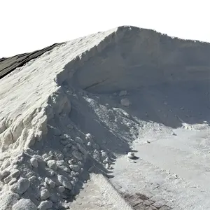 Kualitas terbaik dari Deicing Rock Road laut garam organik pemeriksa asal India untuk Kanada AS kemasan Inggris dalam 25kg 50kg 1mt tas