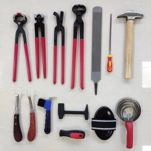 Kit Complet D'Outils De Maréchal-Ferrant - Toilettage Et Parage Des Sabots (SN Equine)