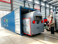 Chaudière à vapeur à biomasse DZH 0,7/1,0/1,25 MPa, 1 à 10 T/H, à allumage manuel, pour la fabrication de vêtements et la transformation alimentaire
