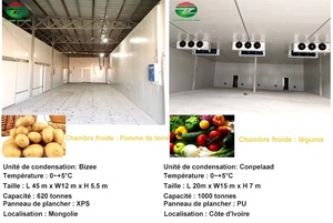 Prix <span class=keywords><strong>pas</strong></span> <span class=keywords><strong>cher</strong></span> 50 tonnes chambre froide congélateur fruits et légumes taille personnalisée - Product Image 4