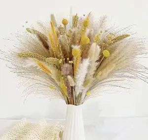 Wholesale Boho Wedding Decor Mixed Dry Fluffy Pampass Grass Bunny Tail Bouquet Set Small Dried Pampas Grass