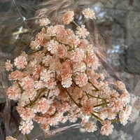 Dekorasi Pernikahan Bunga Baby Breath Putih Grosir, Bunga Baby Breath Real Touch untuk Centerpieces